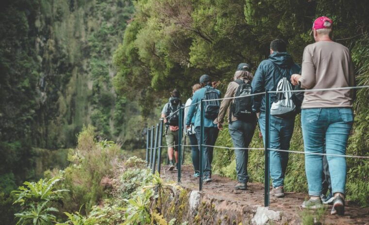 madeira-rabacal-valley-and-the-25-fountains-hike