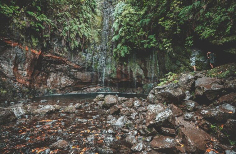 madeira-rabacal-valley-and-the-25-fountains-hike