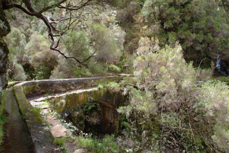 madeira-rabacal-valleys-3-hour-guided-walk