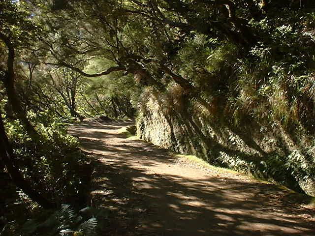 madeira-rabacal-valleys-3-hour-guided-walk