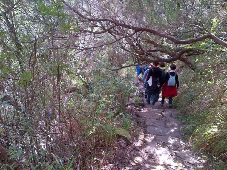 madeira-rabacal-valleys-3-hour-guided-walk