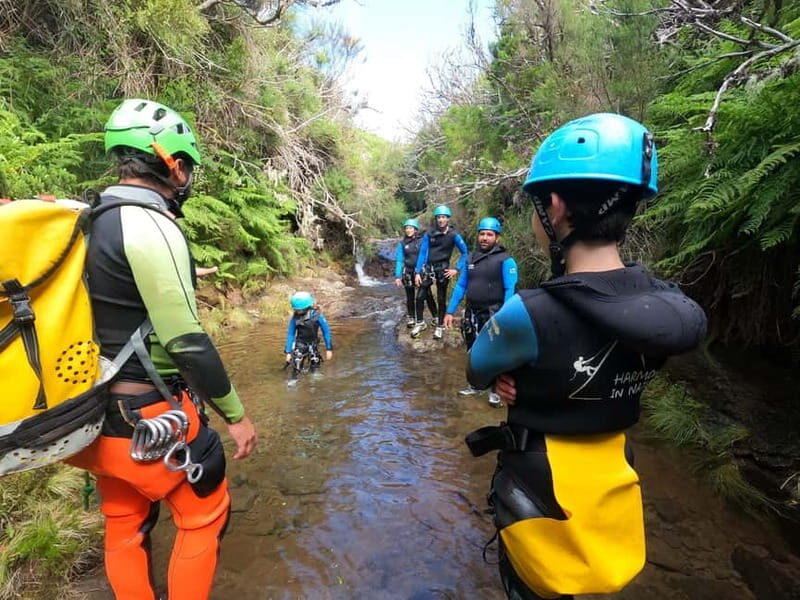 Madeira : Ribeira das Cales Canyoning (Level 1) - What Makes This Tour Stand Out?