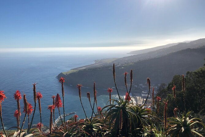 madeira-safari-east-of-the-island