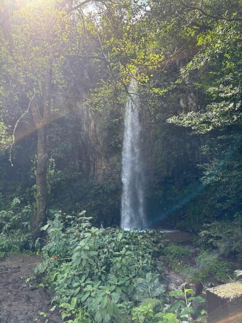 madeira-santana-discover-the-enchanting-east-duration-75h