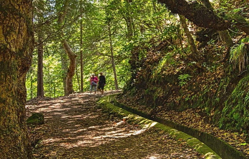 Madeira: Santana Jeep Safari and Balções Levada Walk - FAQs