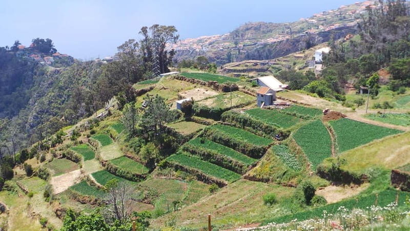 Madeira: Santana Jeep Safari and Balções Levada Walk - Final Thoughts