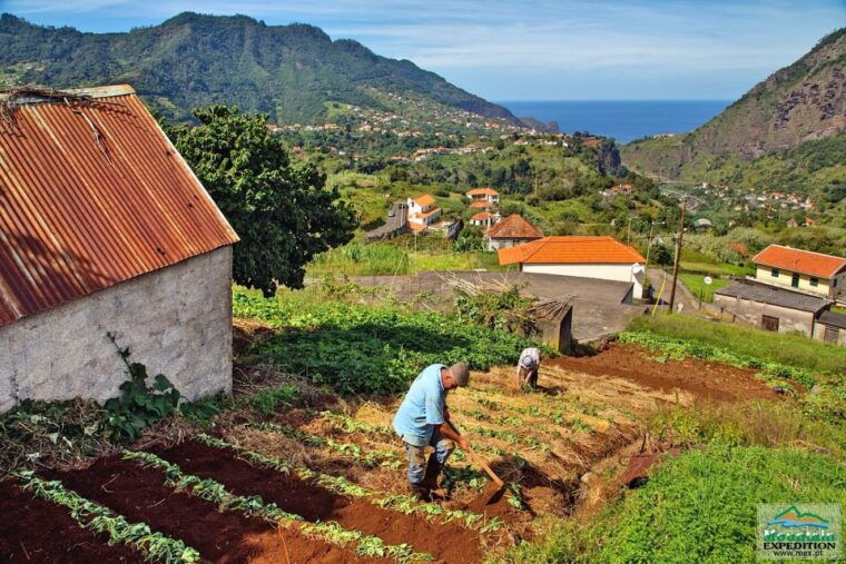 madeira-santana-jeep-safari-and-levada-tour