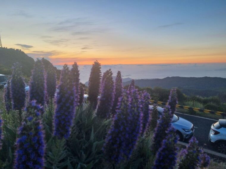 madeira-santana-pico-arieiro-walk-full-day-4x4-jeep-tour