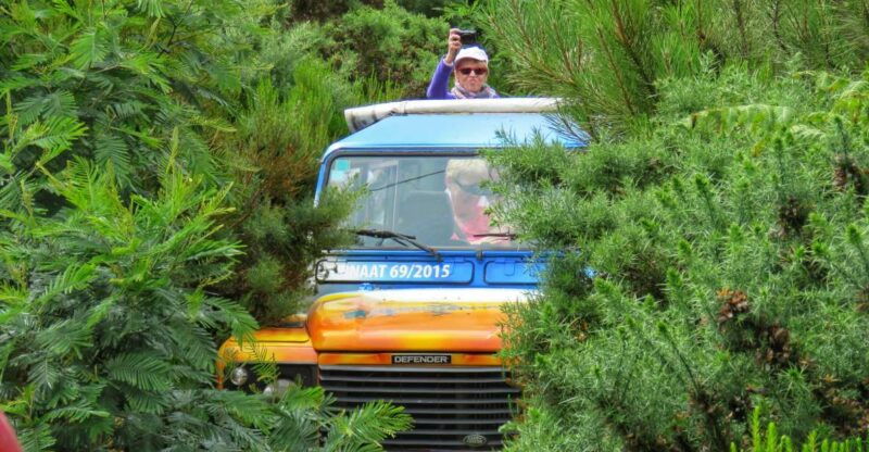 madeira-santo-de-serra-local-farmers-market-half-day-trip