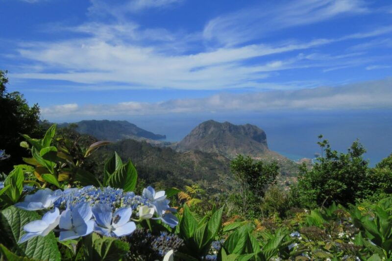 madeira-santo-de-serra-local-farmers-market-half-day-trip