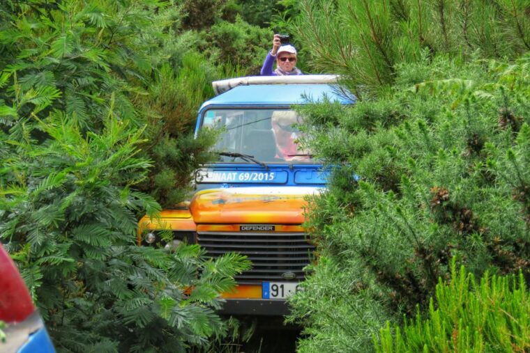 madeira-santo-de-serra-local-farmers-market-half-day-trip