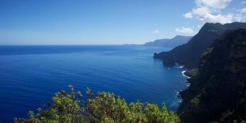 Madeira: Sightseeing Tour - The Highlight: Lunch and Wine Tasting at Quinta do Furão
