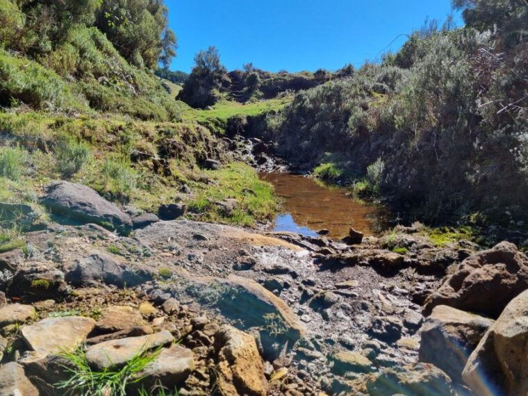 madeira-skywalk-fanal-natural-pools-4x4-jeep-tour