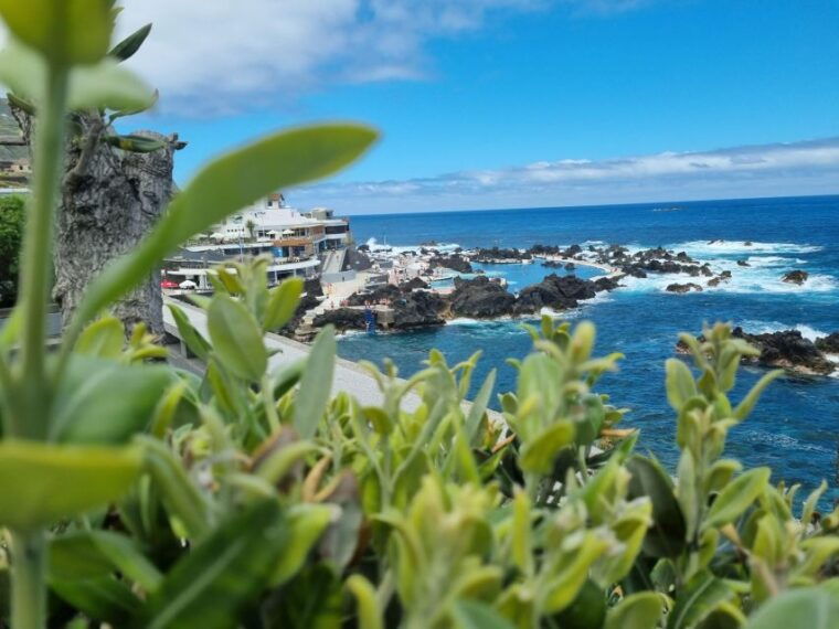 madeira-skywalk-fanal-natural-pools-4x4-jeep-tour