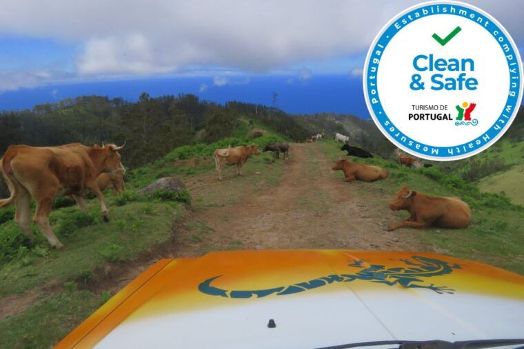 madeira-southwest-coast-run-anjos-waterfall-4x4-tour