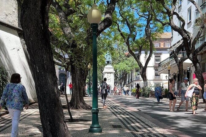 madeira-special-private-tuk-tuk-city-tour-experience