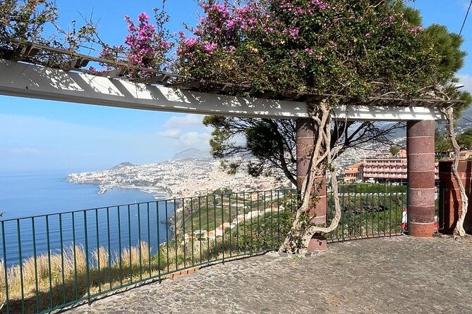 madeira-special-private-tuk-tuk-city-tour-experience