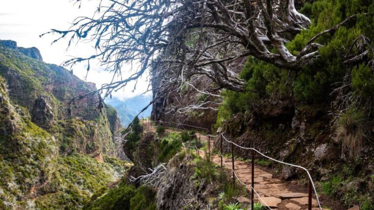 madeira-stairway-to-heaven-to-larano-hike-mountain-to-sea-2