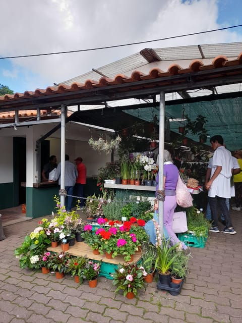 madeira-sunday-market-in-santo-da-serra
