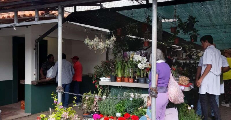 madeira-sunday-market-in-santo-da-serra