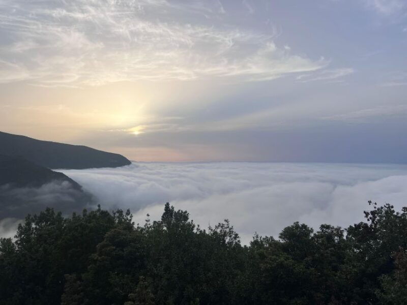 madeira-surprise-tour-4x4-2