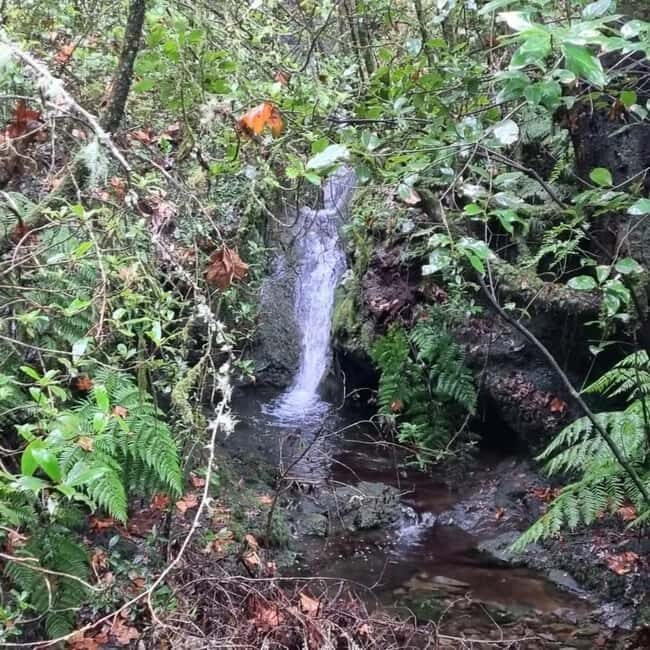 Madeira: Surreal East Experience - Price and Value