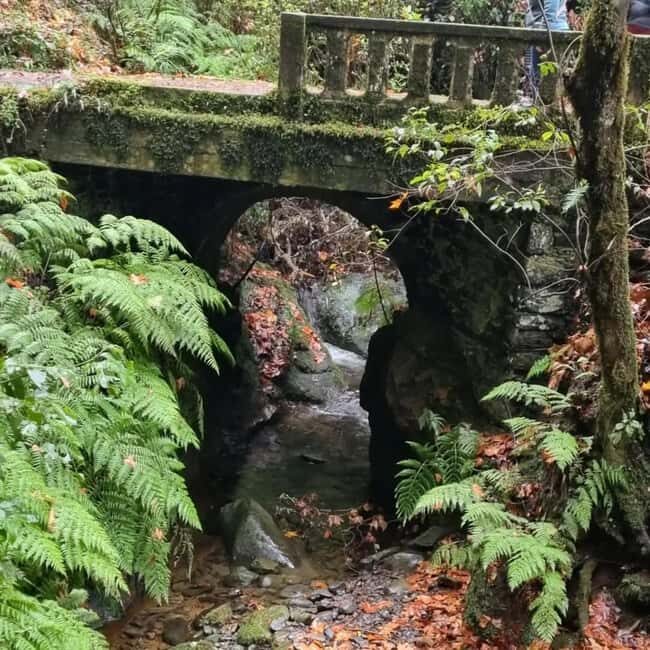 Madeira: Surreal East Experience - Who Will Love This Tour?
