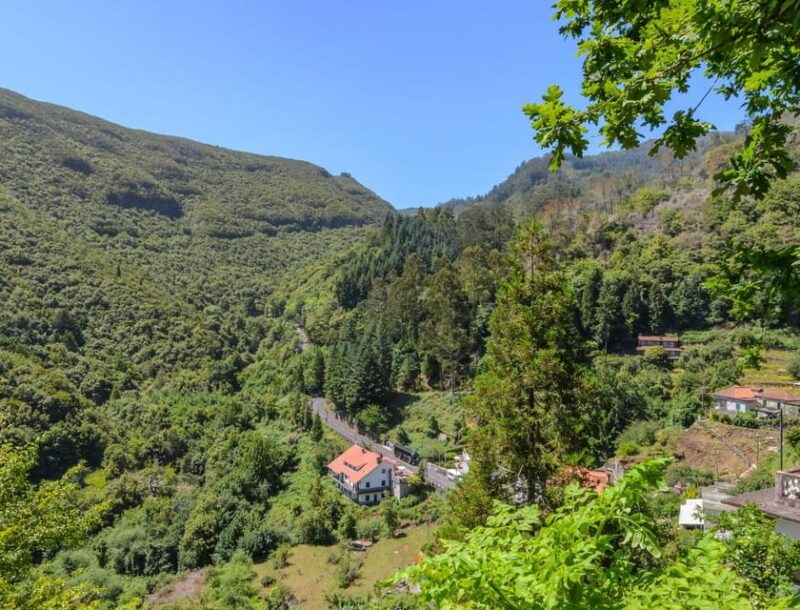 madeira-tour-santana-east-tour-straw-thatched-roofed-houses