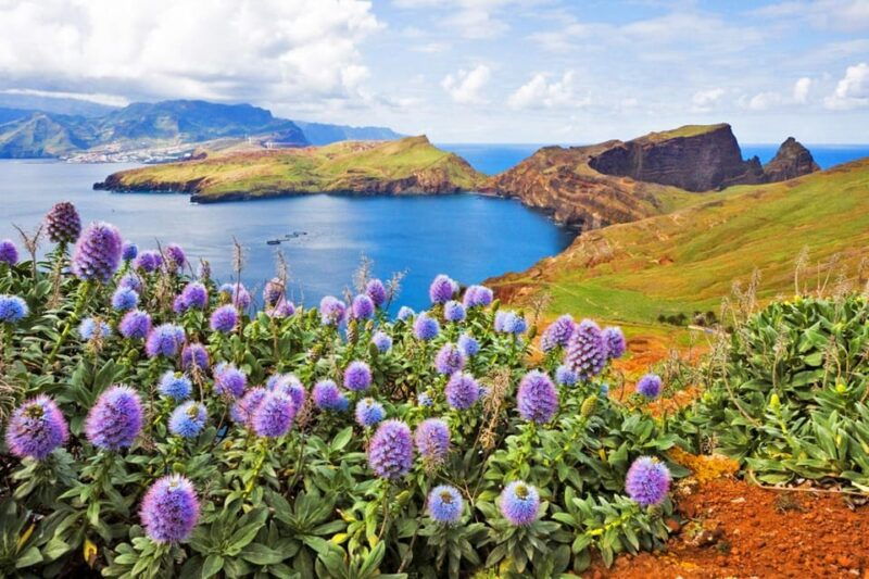 madeira-tour-santana-east-tour-straw-thatched-roofed-houses
