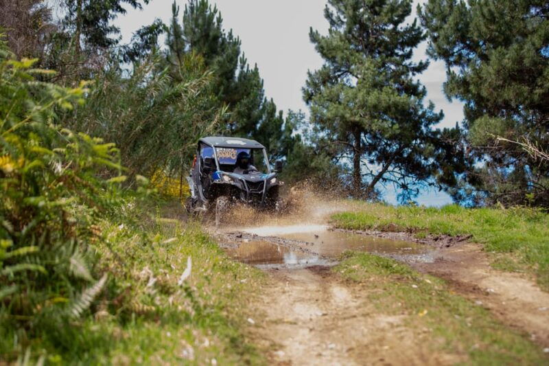 madeira-trail-thrill-buggy-tour