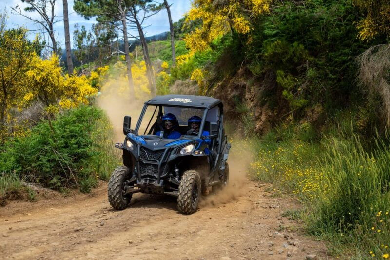 madeira-trail-thrill-buggy-tour