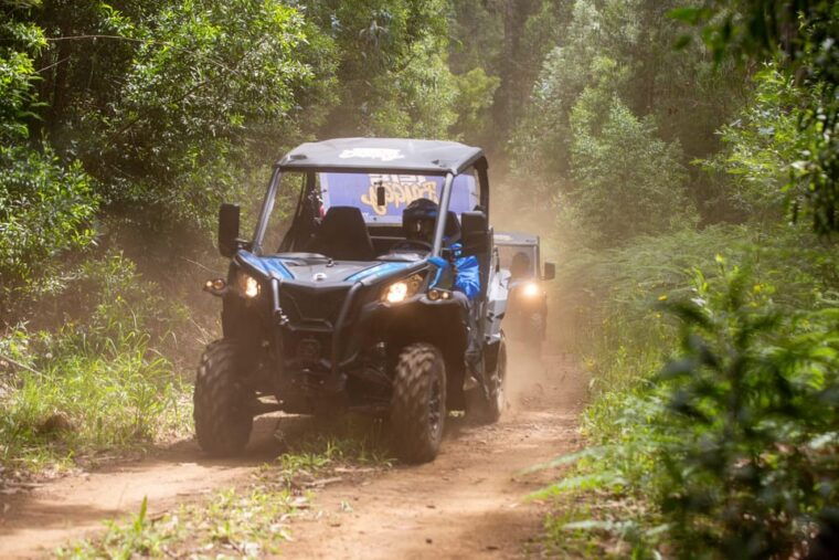 madeira-trail-thrill-buggy-tour