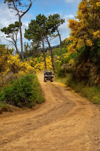 madeira-trail-thrill-buggy-tour