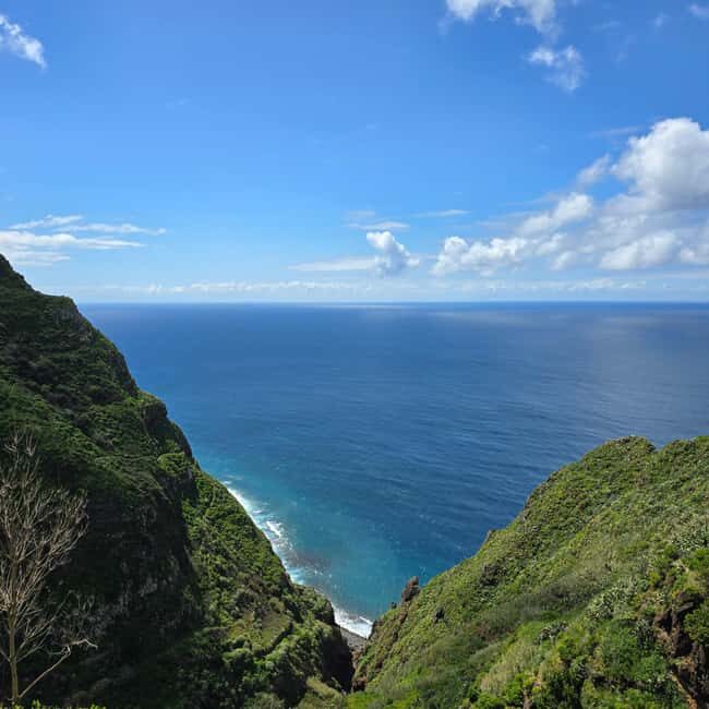 Madeira: Vereda da Ladeira  Challenging Full-Day Hike - Introduction to the Vereda da Ladeira