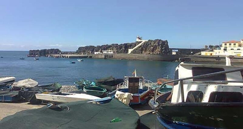 madeira-vineyard-tour-wine-tasting-included