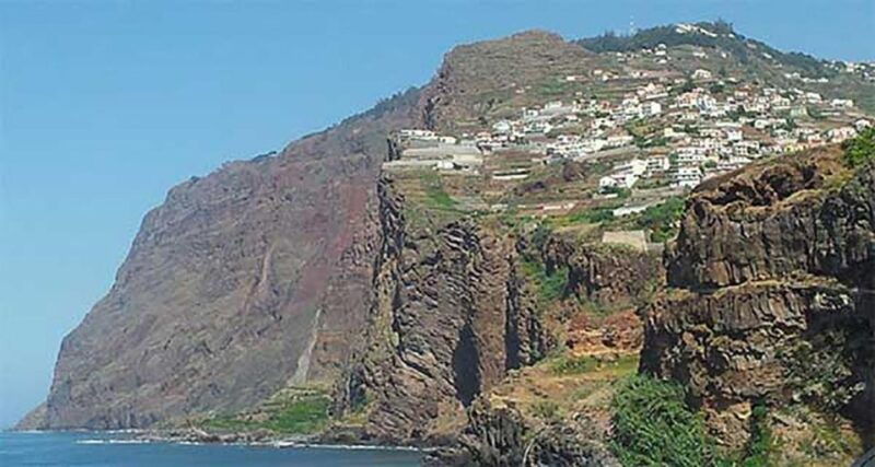 madeira-vineyard-tour-wine-tasting-included