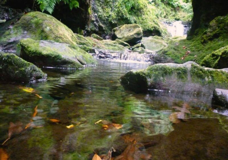 madeira-walking-tour-levada-do-rei-ribeiro-bonito