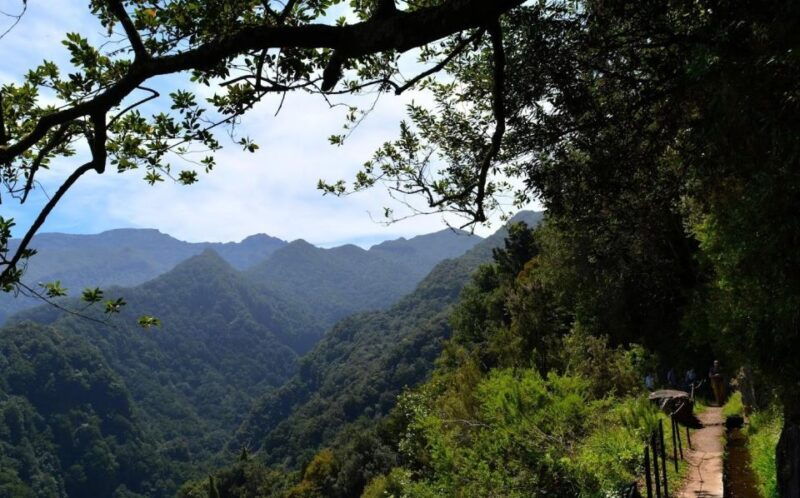 madeira-walking-tour-levada-do-rei-ribeiro-bonito