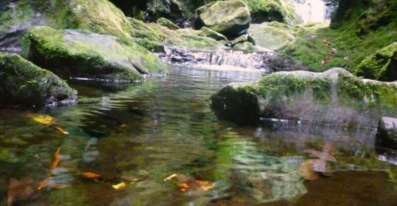 madeira-walking-tour-levada-do-rei-ribeiro-bonito