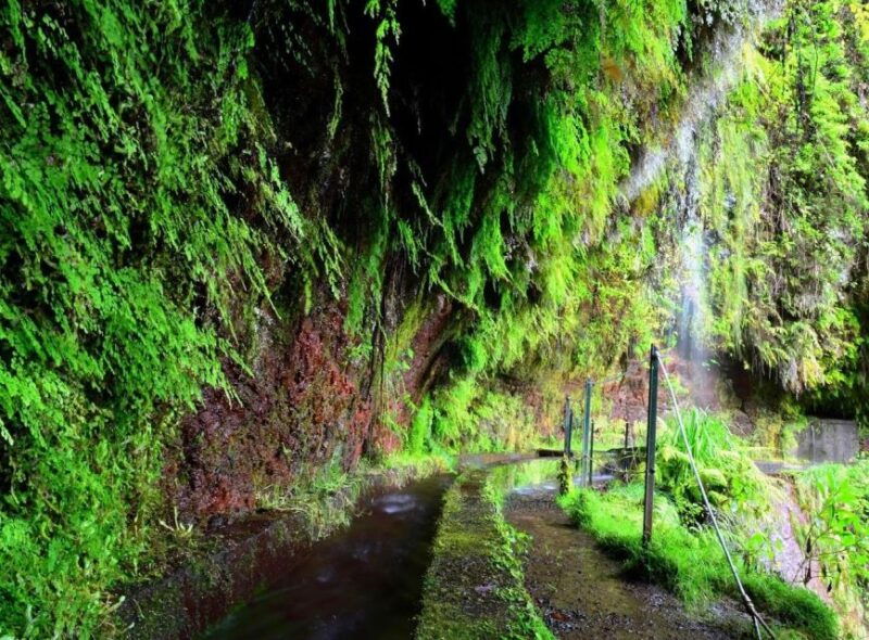 madeira-walking-tour-levada-do-rei-ribeiro-bonito