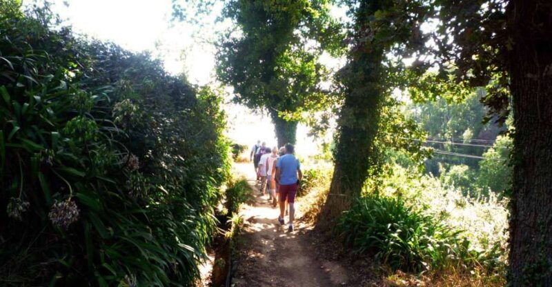 madeira-walking-tour-paradise-valley-rochao