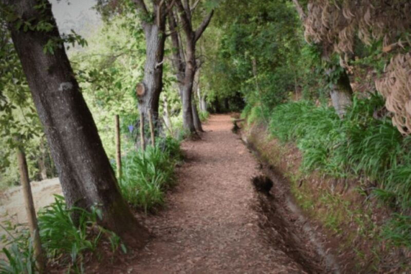 madeira-walking-tour-paradise-valley-rochao