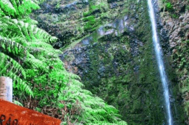 madeira-walking-tour-queimadas-caldeirao-verde