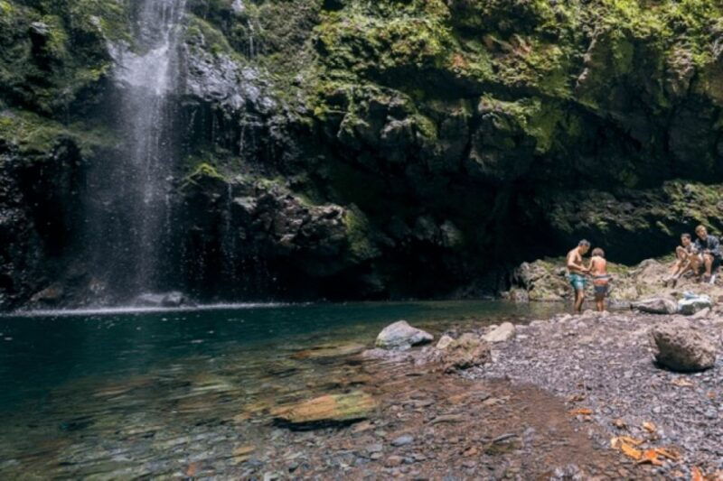 madeira-walking-tour-queimadas-caldeirao-verde