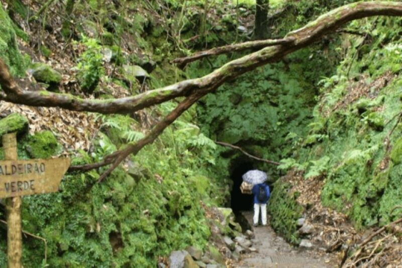 madeira-walking-tour-queimadas-caldeirao-verde
