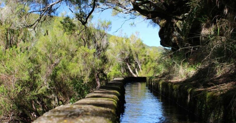 madeira-walking-tour-rabacal-25-springs