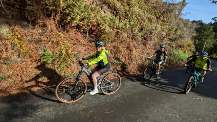 madeira-west-coast-guided-sightseeing-e-bike-tour