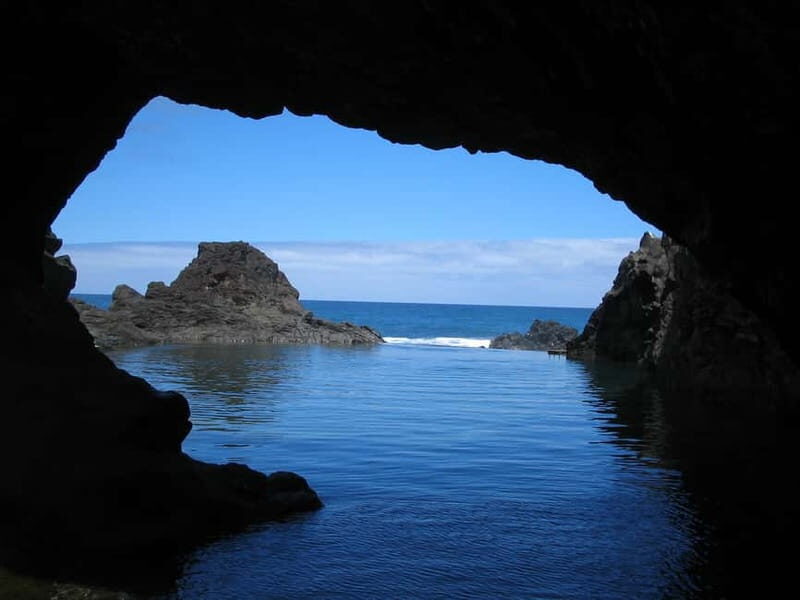 Madeira West Island Full-Day Tour with Fanal Forest - An In-Depth Look at the Tour Experience