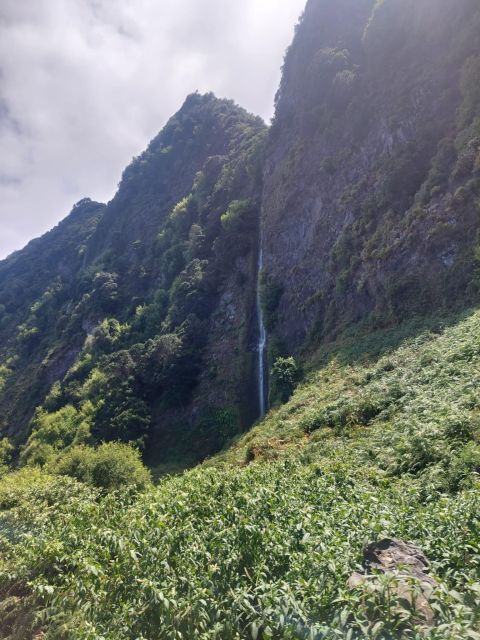 madeira-west-safari-the-natural-lava-pools-of-porto-moniz