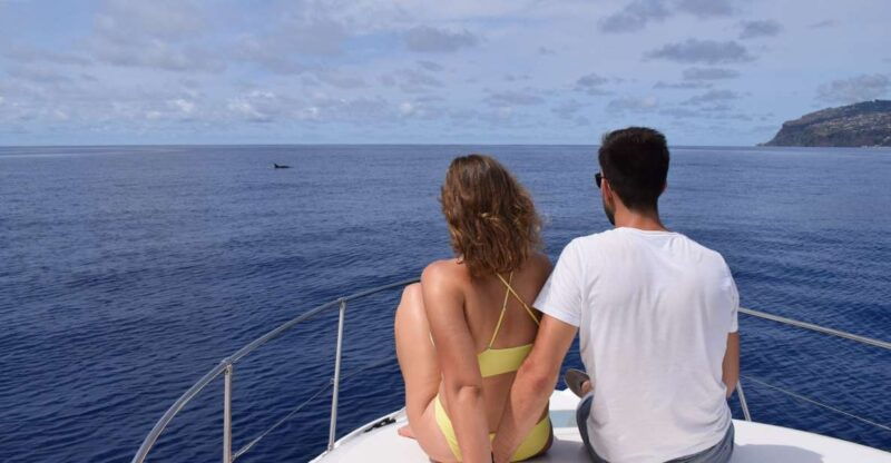 madeira-whale-and-dolphin-watching-private-cruise